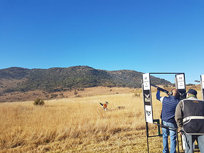 Clay target in flight against the bushveld