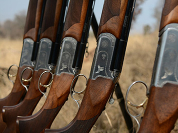 Italian Bettinsoli shotguns lined up for the day